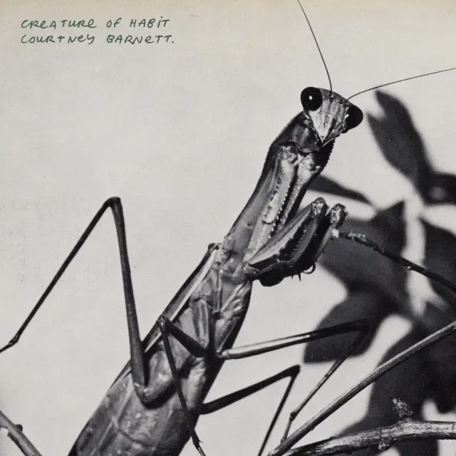 album-artwork-2.webp