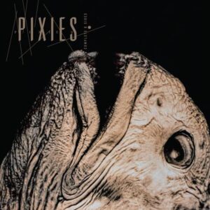 Pixies - Complete B Sides 1988 - 97 (2CD)