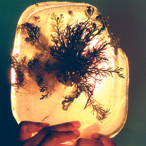 4518882-3608674.jpg