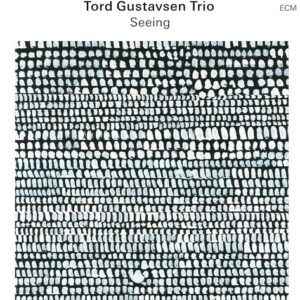 Tord Gustavsen Trio - Seeing