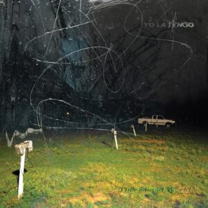 Yo La Tengo - This Stupid World (2LP)
