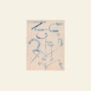 Vanishing Twin - Archives