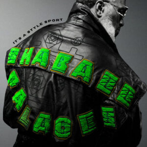 Shabazz Palaces - It's A Style Sport